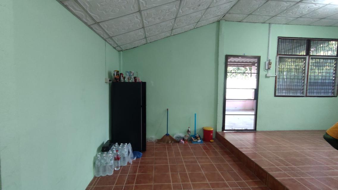 บ้านพร้อมที่ดิน 100 ตร.ว. 3 ห้องนอน 2 ห้องน้ำ ห้วยทราย สันกำแพง 10