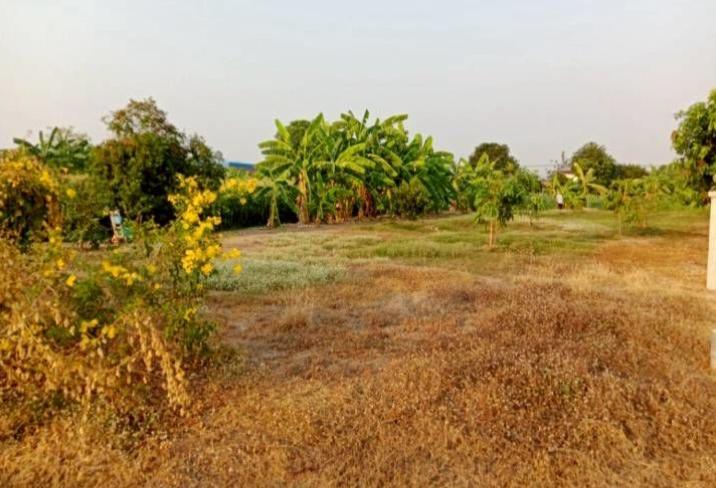 ให้เช่าที่ดินเปล่าถมแล้ว 226 ตารางวา ใกล้แม่น้ำน่านวิวสวย 2