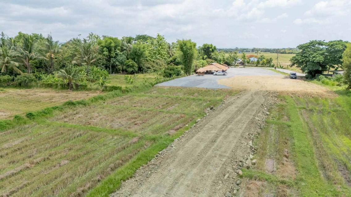 ขายที่ดิน ราคา3,980บาท/ตร.ว. ต.ป่าป้อง อ.ดอยสะเก็ด จ.เชียงใหม่ 1