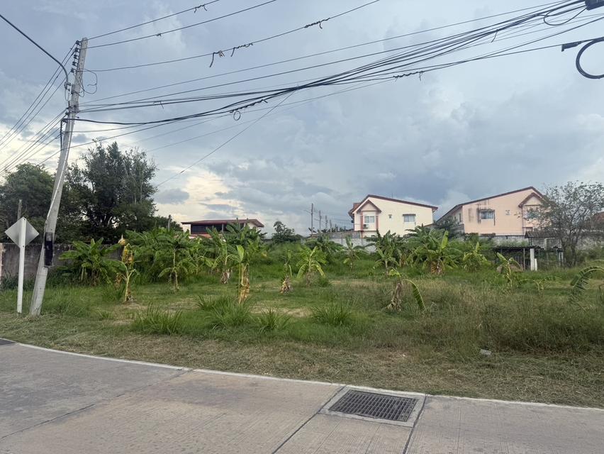 ขายที่ดิน ชลบุรี