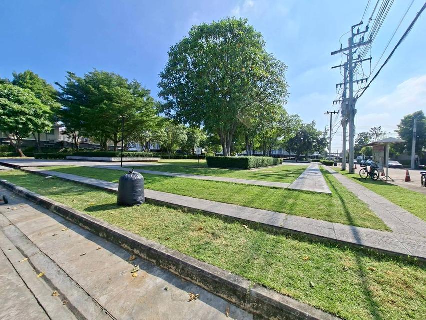 ขายด่วนทาวน์เฮ้าส์ หมู่บ้านพฤกษาวิลล์ 87/1ซอยศรีมิตร เทพารักษ์ รีโนเวทใหม่พร้อมอยู่ (N.1945) 11