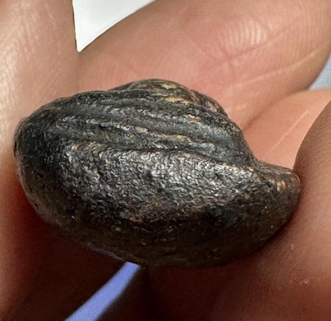 พระปิดตา เนื้อผงคลุกรักจุ่มรัก ไม่ทราบที่ 7