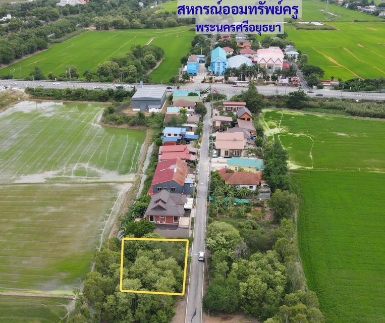 ที่ดิน 106 ตรว. จ.อยุธยา ใกล้เกาะเมือง 1
