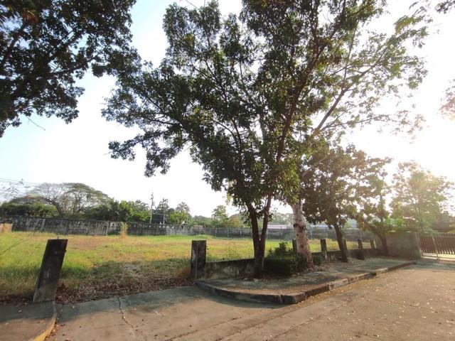 - ประกาศขาย ที่ดิน ที่ดินหมู่บ้านเปล่า รามอินทรา ม.ปัญญาอินทราเฟส 9 30780000 บาท. 1 Rai 1 งาน 13 ตร.วา ไม่ไกลจาก Fashion 1