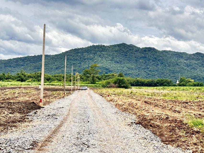 ที่ดินแบ่งขาย ต.ช่องสาริกา อ.พัฒนานิคม จ.ลพบุรี 1