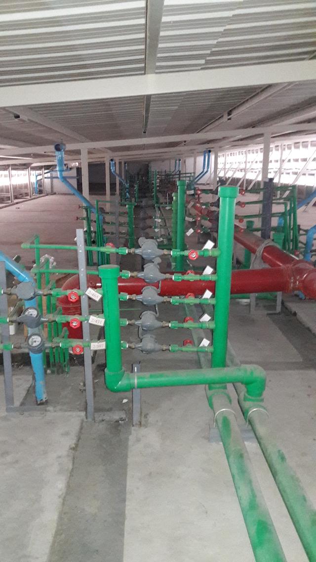 ช่างประปา ช่างปั้มน้ำ ช่างไฟฟ้า ด่วน24ชม อินทามะระ สุทธิสาร ประดิพัทธ์ พระราม6 รัชดาภิเษก พระราม9 ลาดพร้าว รามคำแหง สุขุมวิท รูปที่ 3