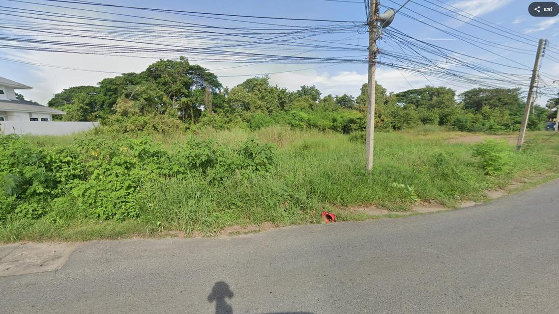 ขายที่ดิน 10 ไร่ 1 งาน 8.3 ตารางวา ตำบลลำนารายณ์ อำเภอชัยบาดาล จังหวัดลพบุรี 11