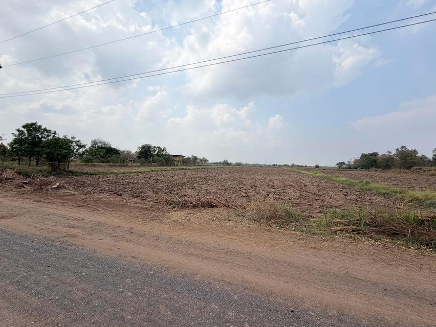 📍ขายที่นา 4ไร่ 3งาน 3.1ตารางวา หน้ากว้าง 38 เมตร น้ำไม่เคยท่วม มีไฟฟ้า น้ำปะปา ติดถนน 2