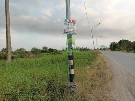 ขายที่ดิน คลอง8 บึงบอน หนองเสือ ปทุมธานี เนื้อที่ 70 ตร.ว ราคาไม่แพง 5
