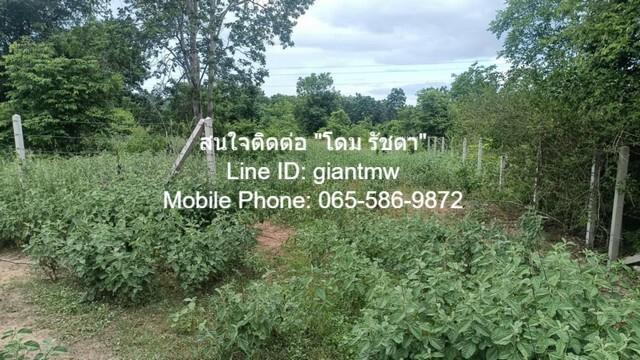 ID : DSL-361 ขาย ที่ดิน ที่ดิน หัวหิน จ.ประจวบคีรีขันธ์ ขนาดพื้นที่ 0 ตาราง.วา 0 ngan 1 RAI 2500000 บาท. เข้าออกได้หลายท 5