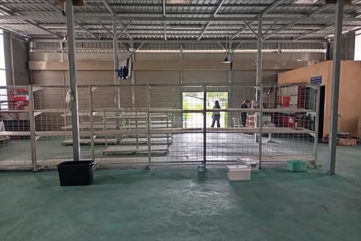 ที่ดินพร้อมสิ่งปลูกสร้าง เนื้อที่ 2 งาน 8 ตารางวาติดตลาดสดเทศบาลปลวกแดง 12