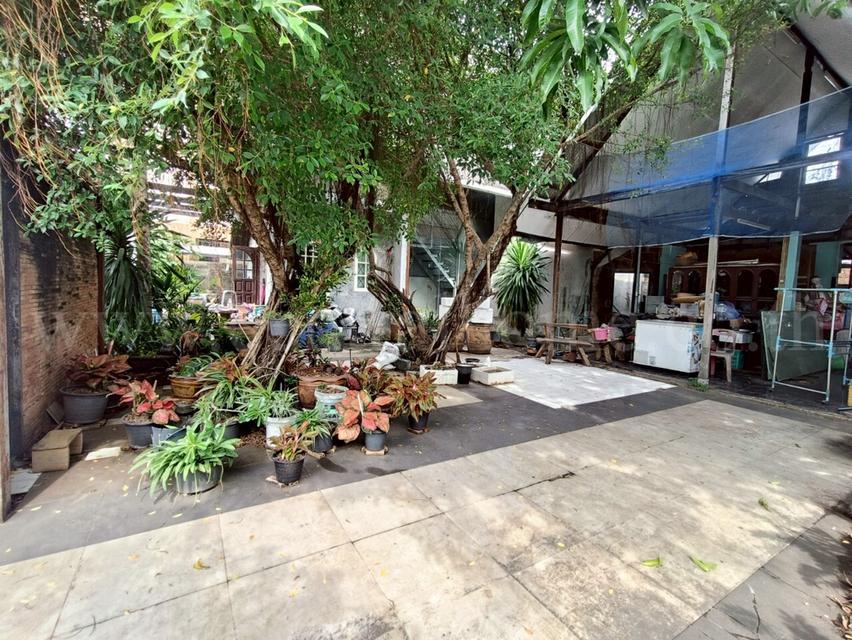 บ้านเดี่ยว ซอยร่มประดู่ 1 บางพลี - สมุทรปราการ 18