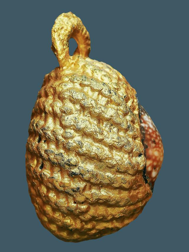 เบี้ยแก้จักรพรรดิ์ รุ่นมหาจักรพรรตราธิราช หลวงปู่หมุน ฐิตสีโล อายุ 108 ปี พ.ศ.2545..เก่า เดิมๆ 4