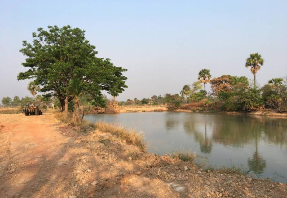 ขายถูกมากห้ามพลาดที่ดินทำเลทอง ติดถนน 4 เลน 207 อำเภอประทายโคราช หน้ากว้าง 80 เมตร ขายถูก 1.39 ล้าน ต่อไร่ 10