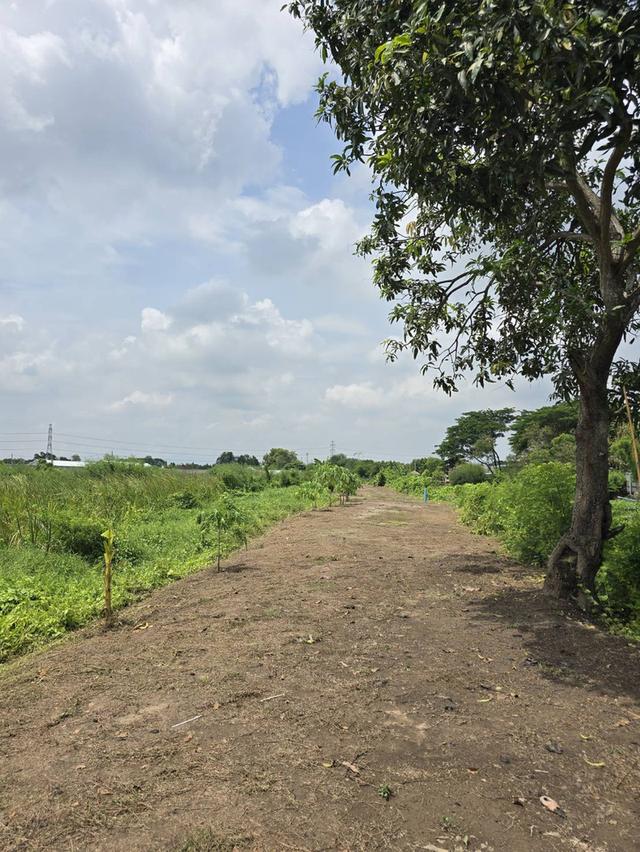 ที่ดิน จังหวัด นครปฐม 5