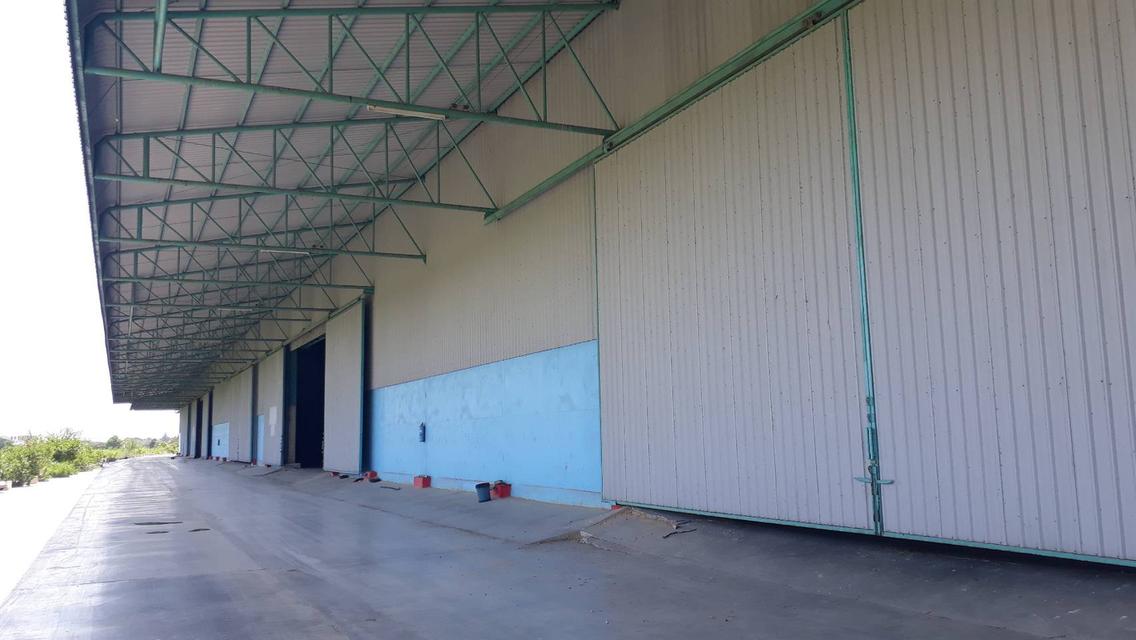 รหัส PNB007 ให้เช่าโกดังขนาดใหญ่พื้นที่ 10 ไร่ พิกัด อ.ไทรน้อย จ.นนทบุรี 2