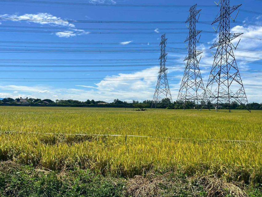 ขายที่ดิน 49 ไร่ หนองจอก กรุงเทพฯ ทำเลศักยภาพ เหมาะพัฒนาโครงการ / โกดัง / โลจิสติกส์ ราคา 165.13 ล้านบาท 6