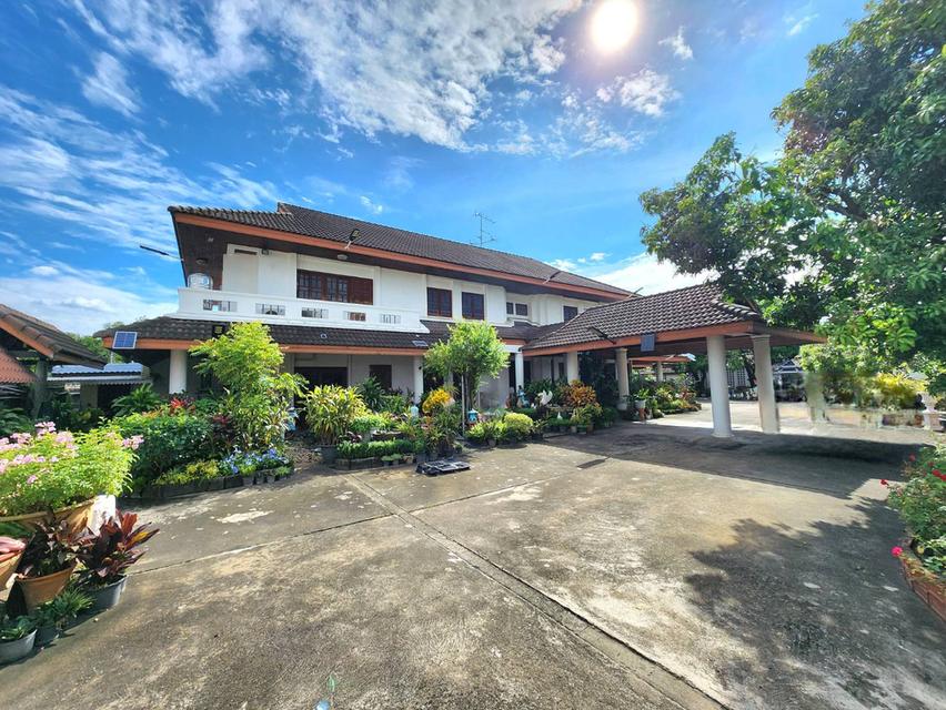 ขายที่ดินใจกลางเมือง เนื้อที่ 2 ไร่เศษ ซ.โชคชัยร่วมมิตร(ซ.รัชดาภิเษก 19 หรือ ซ.วิภาวดี 16) ลาดยาว จตุจักร กทม. 8