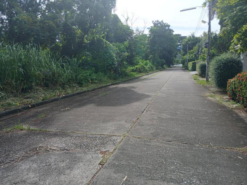 ขายที่ดินวิวสวยๆแปลงหัวมุม ถนนรอบ 4 ด้านโซนตรงกลาง ในหมู่บ้านสวนนนทรีย์แยกรวมโชค แบ่งแยกโฉนดเรียบร้อบแล้วพร้อมสร้างบ้าน 12