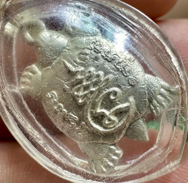 เต่าหลวงพ่อแม้น เนื้อเงิน เลี่ยมเดิมจากวัด รูปที่ 3