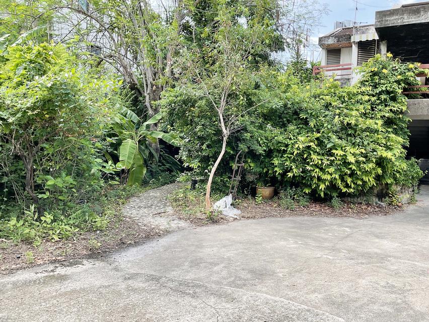 ขายที่ดินบางซื่อ ในเมืองกรุงเทพ 231 ตร.วา พร้อมบ้าน 2 ชั้นมีสไตล์ ใกล้ MRT ติดตลาด บางซ่อน (กรุงเทพ-นนท์ 27) 5