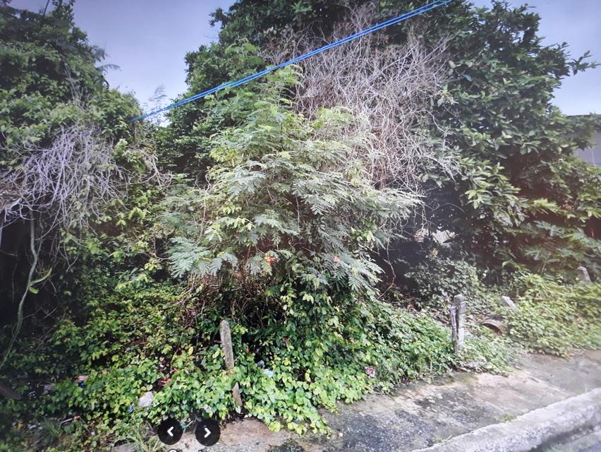 ที่ดินพร้อมบ้าน อ.เมืองจันทบุรี 9
