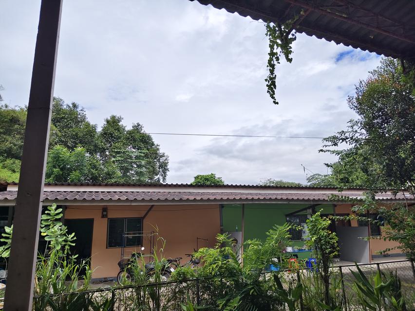 ที่ดินพร้อมอาคาร ห้องแถว โกดังเก็บของ 4