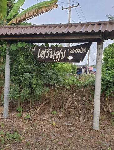 ขายที่ดินเปล่า นครนายก ปากพลี 33 ไร่ หน้ากว้าง เจ้าของรีบ เหมาะทำรีสอร์ท 1