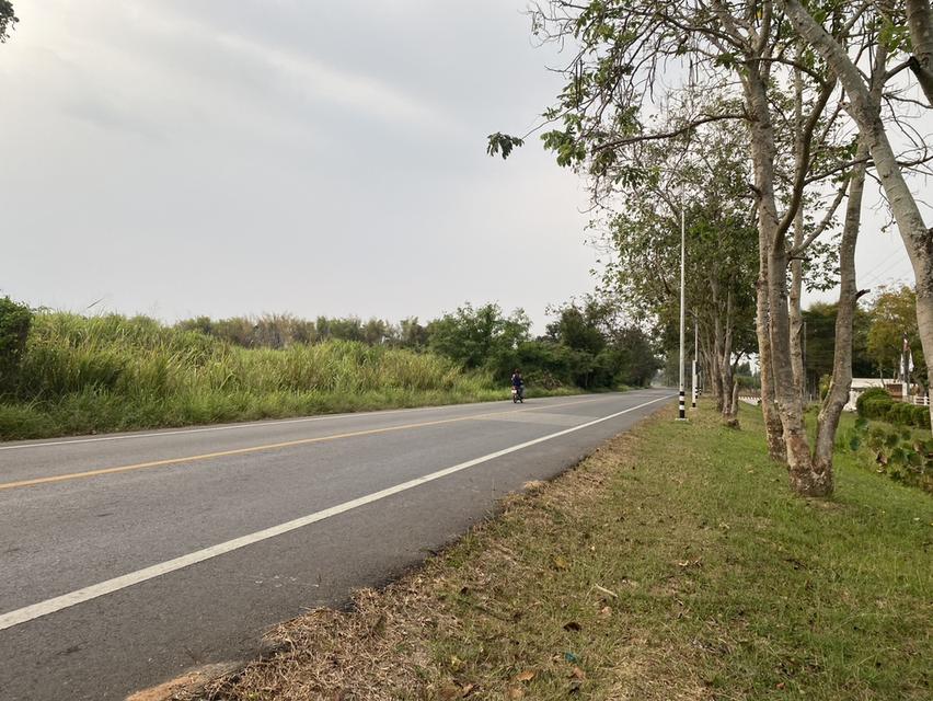 ขายที่ดิน เนื้อที่ 29 ไร่ เกาะจันทร์ จังหวัดชลบุรี 3