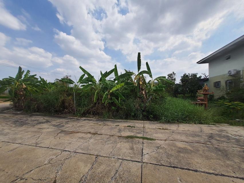 ที่ดิน 8