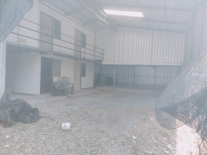 โกดังสองชั้นนนทบุรีเจ้าของขายเอง 9