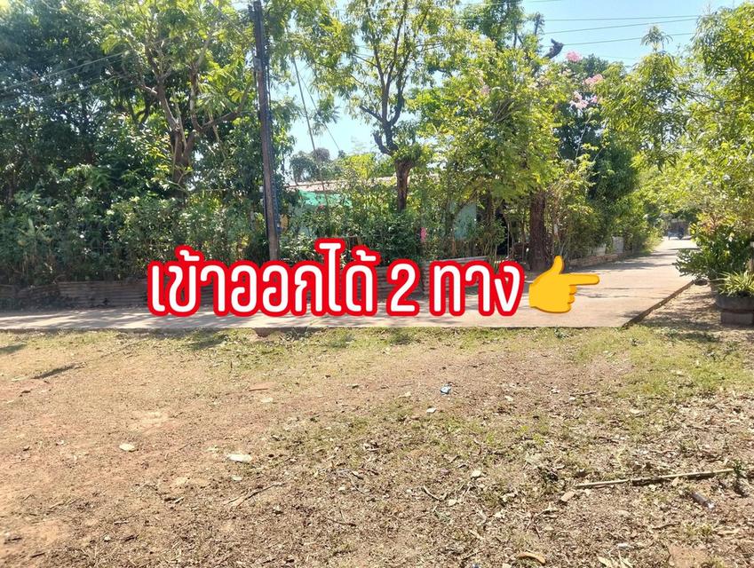ที่ดิน 1 ไร่ 28 ตร.วบ้านนาสมดีอำเภอเมืองนครพนม 5