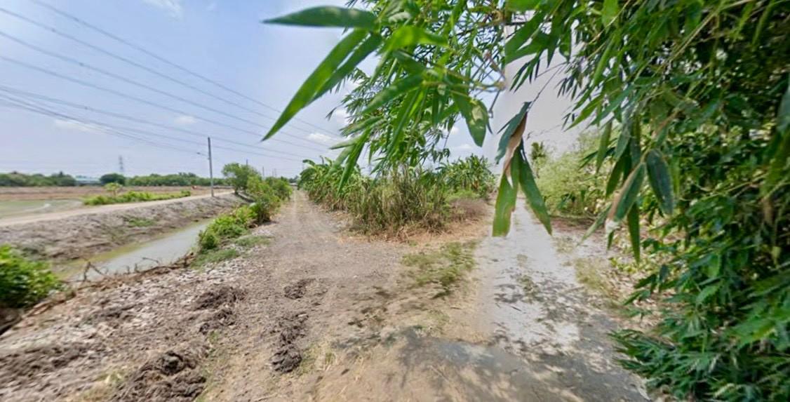 	 ขายที่ดินเปล่าหนองจอก ถ.ประชาสำราญ1 (ซอยคลองสิบสาม) 1716 2