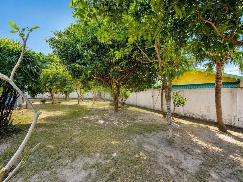 Urgent Sale — Large 2-Storey Detached House in Nong Pla Lai, PattayaUrgent sale at a special price. Owner needs to sell below market value 406sqw 19