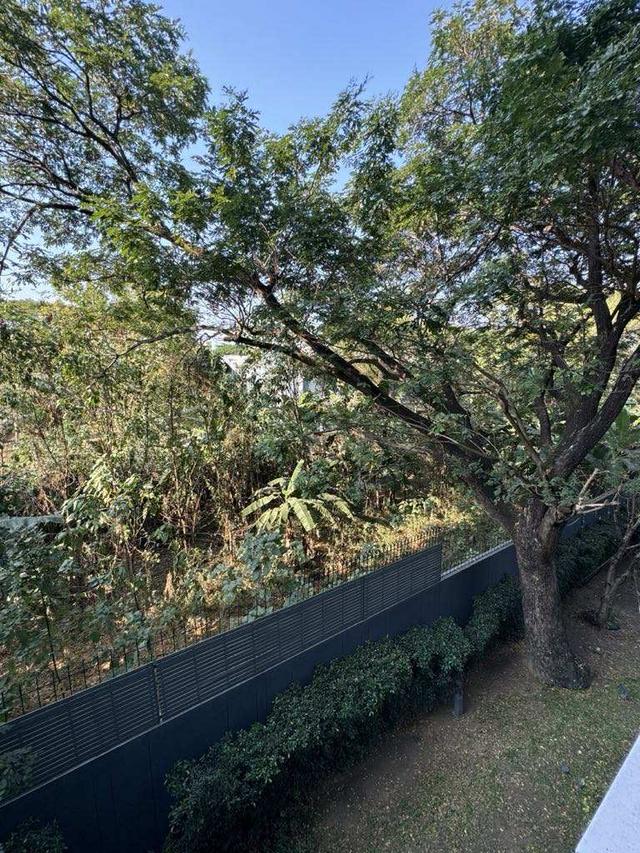 คอนโดหรู ติดห้างใจกลางเมืองเชียงใหม่ ราคา 2,400,000 บาท 13