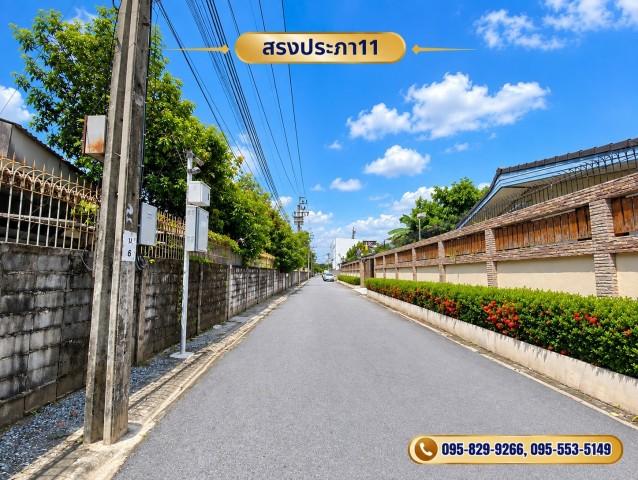 ขายที่ดินถมสูงกว่าถนนน้ำไม่ท่วมที่ดิน 1-3- 57 ไร่ สรงประภา 11 เข้าซอยเพียง 240 ม. ทำเลดี ใกล้สนามบิน ดอนเมือง กรุงเทพ 4