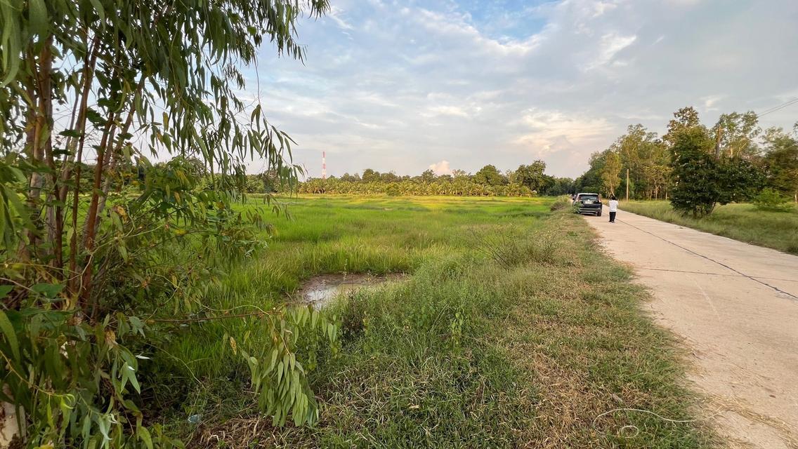 ที่ดิน จังหวัดสระแก้ว 12 ไร่ 1 งาน 79.6 ตร.ว. 8