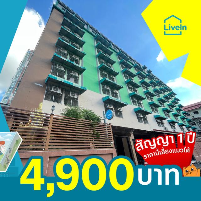 อพาร์ทเม้นท์ให้เช่า LiveIn @ Bangna Mansion เลี้ยงแมวได้! ใกล้ BTS บางนา