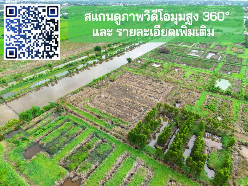 ขายที่ดิน ถ.หลวงแพ่ง ใกล้Siam Premium Outlets เพียง 3 กม. (ซอยติดกับตลาดเทิดไท-สี่แยกลำต้อยติ่ง) 9