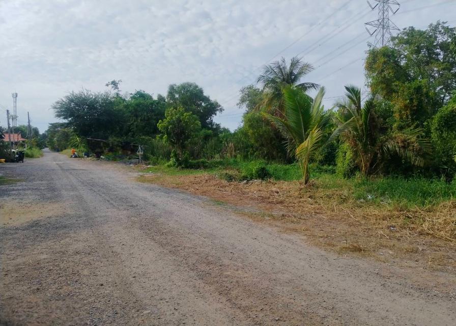 ขายถูกมาก ที่ดินเปล่า 1 ไร่ ขายวาละ 3,500 บาท 6