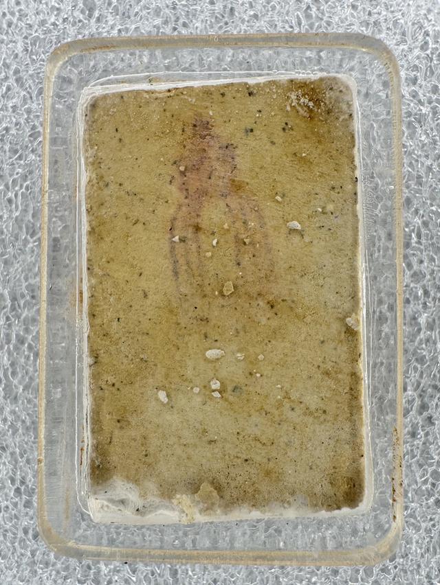 ๑๑๘ปี สมเด็จวัดระฆังฯพิมพ์ปรกโพธิ์(ตื้น)พร้อมบัตรการันตี 3