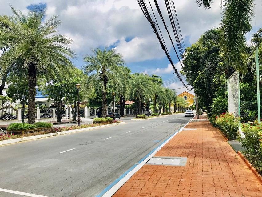 ขายด่วน บ้านลดาวัลย์ ปิ่นเกล้า บรมราชชนนี 185 ตรว บ้านสวย สงบ อากาศดี พื้นที่เยอะ 9