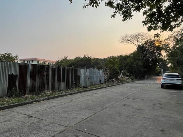 ขายที่ดินเปล่า 296 ตารางวา ซอยหมู่บ้านเสรีวิลล่า ศรีนครินทร์ 55 ใกล้ถนนศรีนครินทร์ และสวนหลวง ร.9 หลังห้างพาราไดซ์ 6