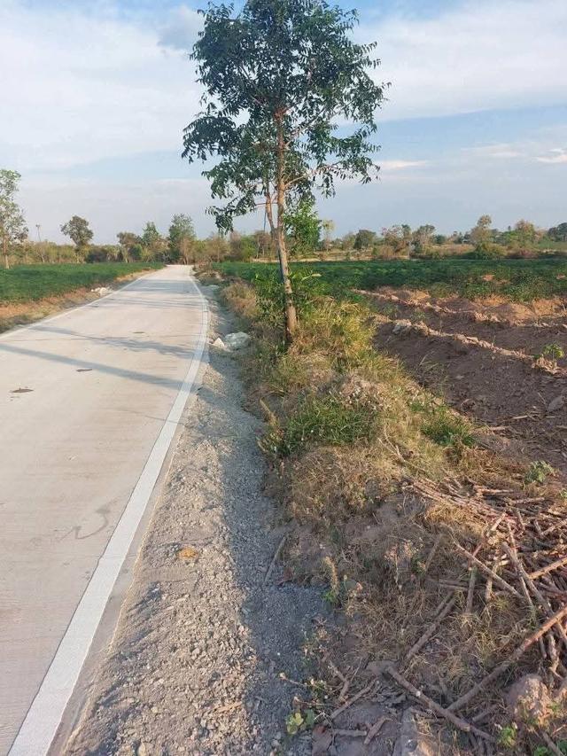 ขายที่ดินติดถนนคอนกรีตบ้านโนนตาลตำบลบึงอ้อ อำเภอขามทะเลสอจังหวัดนครราชสีมา