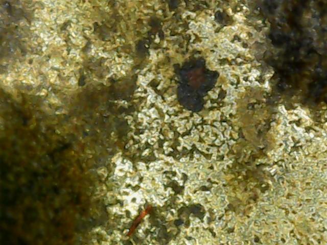 หลวงพ่อเงิน พิมพ์ขี้ตาสามชายจีวรคว่ำ เนื้อโลหะผสม ปี2450-2460 รูปที่ 11