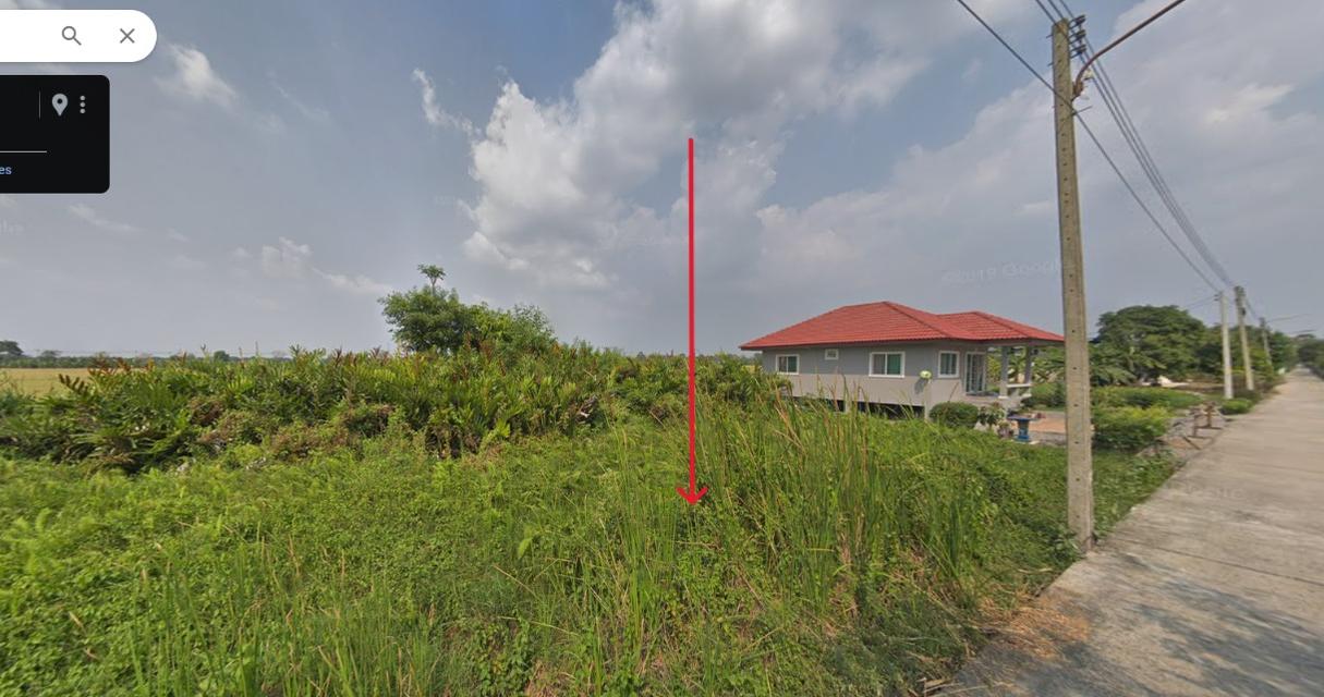 ขายที่ดิน 100 ตรว. ติดถนนคอนกรีตบริเวณคลอง 11 ฝั่งตะวันตก, หนองเสือ, ปทุมธานี 1