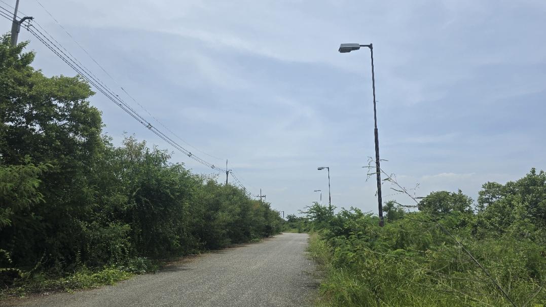 ที่ดินข้างสนามกอลฟ์บางปู 1-0-59 โซนสีเหลือง สำหรับสร้างบ้าน 4
