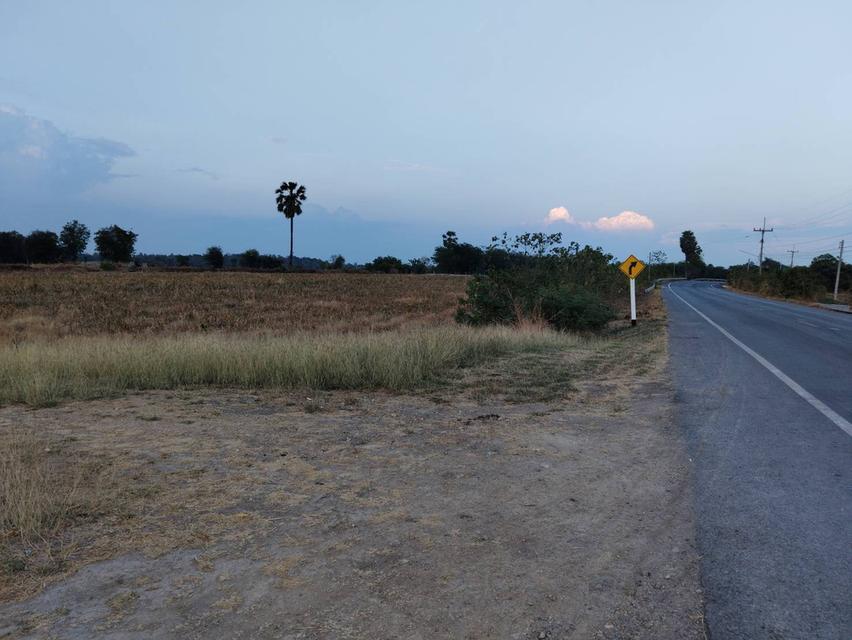 ที่ดินลพบุรี เนื้อที่ 6 ไร่ 90 ตารางวา 10