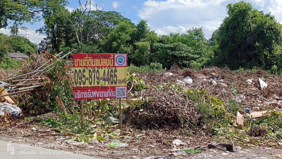 ขายด่วนที่ดิน 760 ตรว ติดถนนคอนกรีต ซ.ฝั่งเหนือพัฒนา บางบัวทอง นนทบุรี 7