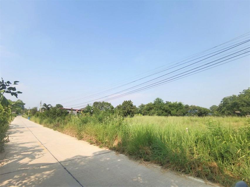 ขาย ที่ดิน ME047 แปลงเล็ก ทำเลดี หนองอิรุณ บ้านบึง ชลบุรี . 1 ไร่ ติดถนนสาธารณะ ไฟฟ้า ปะปา เหมาะบ้านสวน เกษตร ห่างถนน 34 4